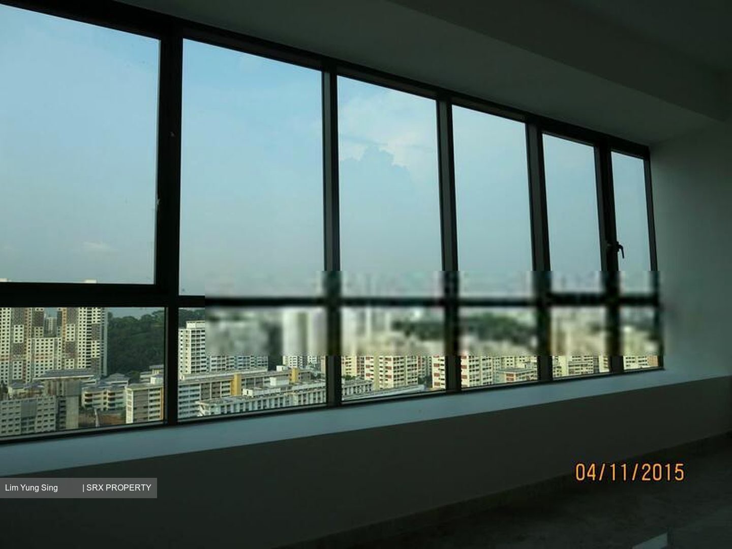 Skyline Residences (D4), Condominium #408381531